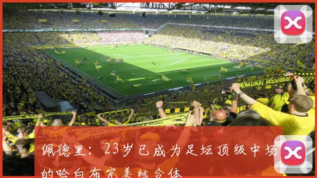 佩德里：23岁已成为足坛顶级中场的哈白布完美结合体