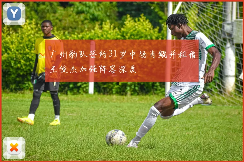 广州豹队签约31岁中场肖鲲并租借王俊杰加强阵容深度